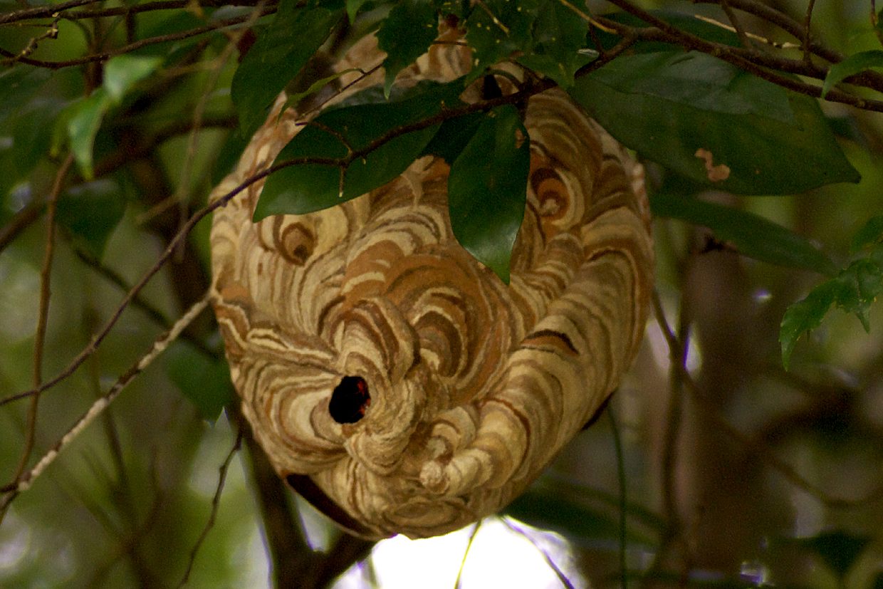 b0174905_840732.jpg