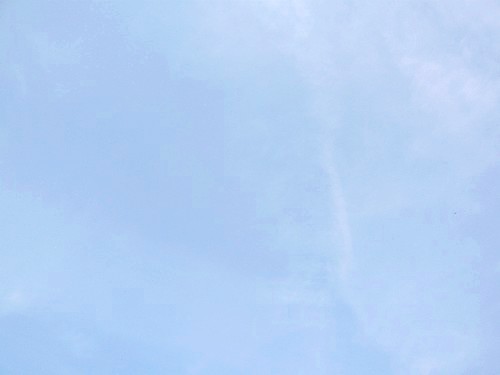 c0058606_0574378.jpg