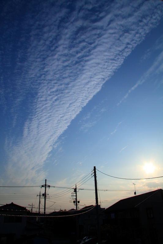 b0180907_20143920.jpg
