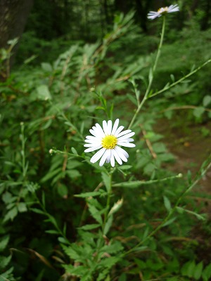 c0178008_19105100.jpg