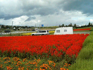 f0127408_22465315.jpg