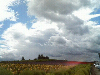 f0127408_22465396.jpg