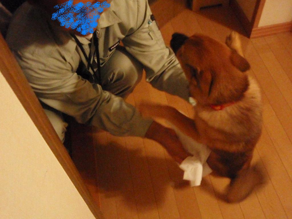 e0188009_0112530.jpg