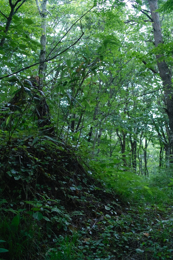 b0137311_0162691.jpg