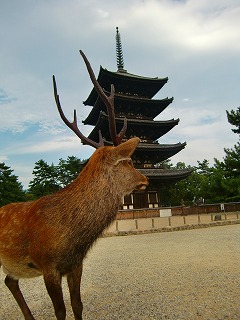 f0201214_18282933.jpg