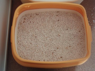 c0145016_14532265.jpg