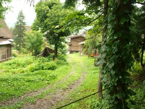 d0114517_9265719.jpg
