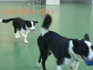 e0179321_0175818.jpg