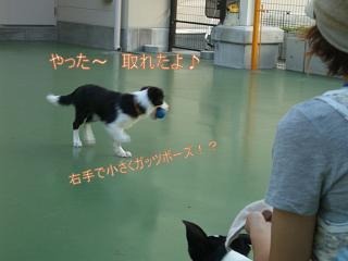 e0179321_0184789.jpg