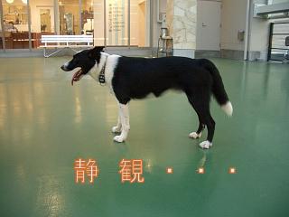 e0179321_0332937.jpg