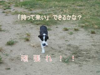 e0179321_21384599.jpg
