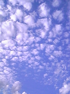 f0028123_215519.jpg