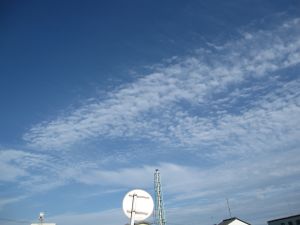 f0143123_19454191.jpg