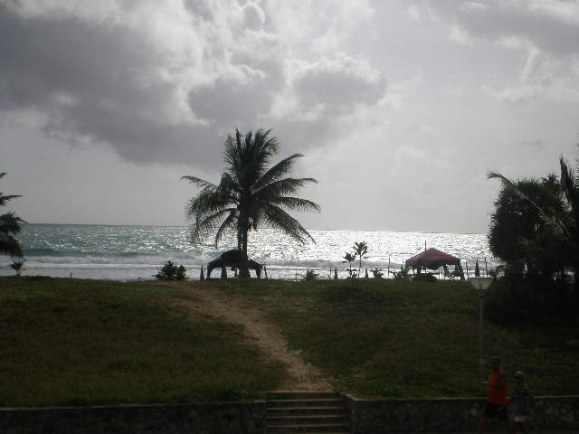 c0095424_956971.jpg