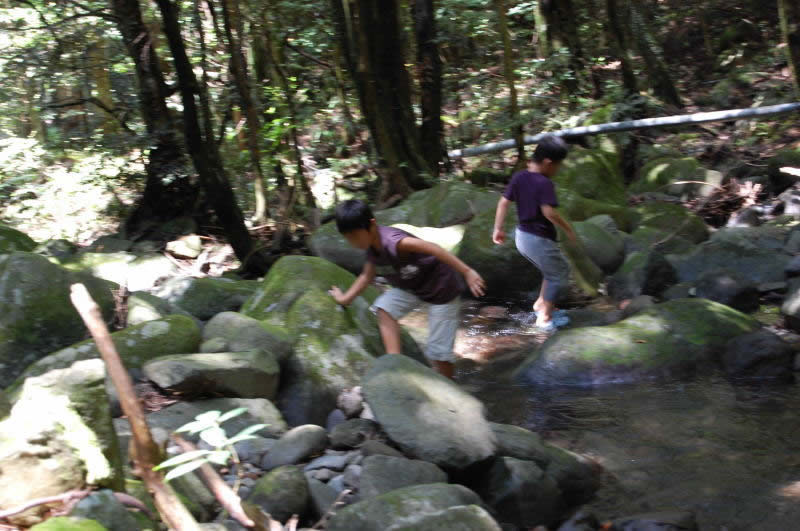 f0031125_23373490.jpg