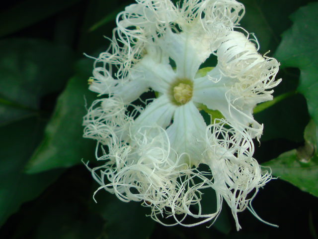 e0016828_15561290.jpg
