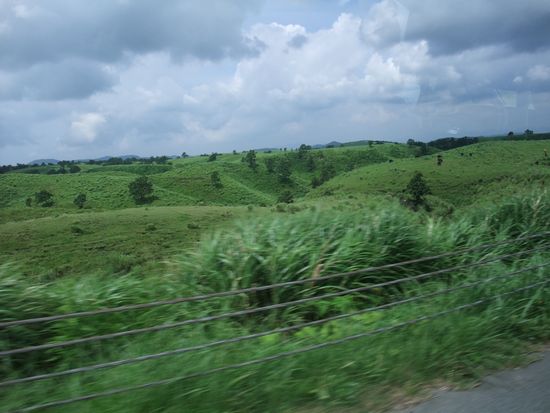 d0148729_11545729.jpg