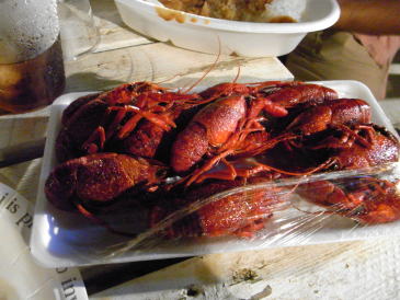 e0083230_1215527.jpg