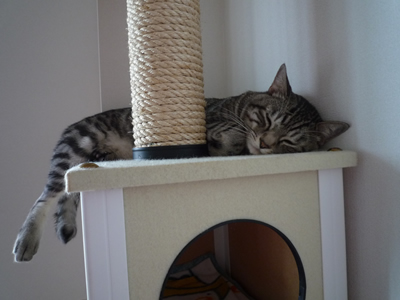 c0125532_16201253.jpg