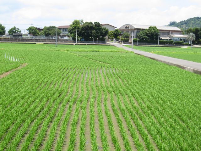 d0088735_1913586.jpg
