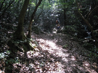 c0077338_22535343.jpg
