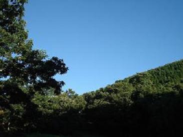 c0153040_1215401.jpg