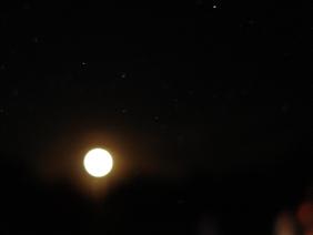 c0153040_12162124.jpg