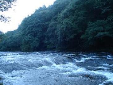 c0153040_1221192.jpg