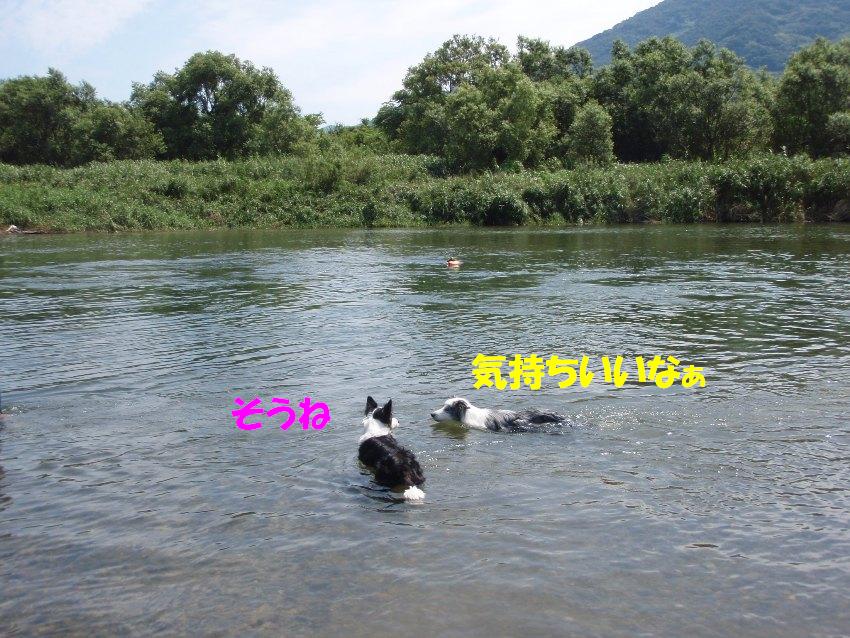 d0077740_23322938.jpg