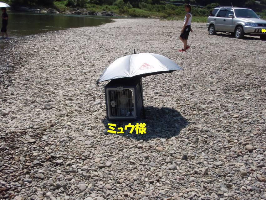 d0077740_2336012.jpg