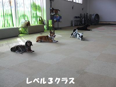 f0186040_233968.jpg