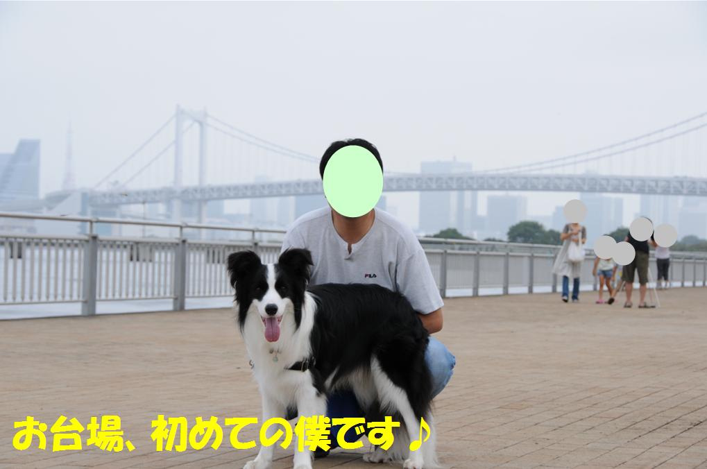 c0147241_22434983.jpg