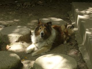 f0150047_22592824.jpg