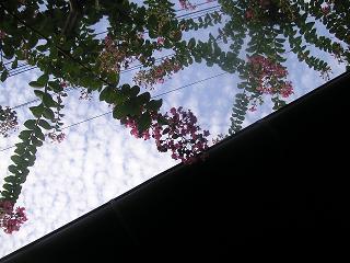 e0022948_18233259.jpg