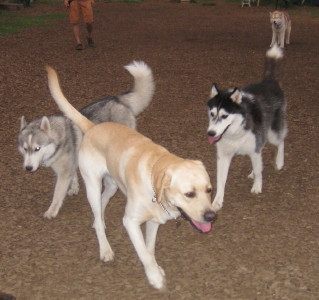 e0121548_2235231.jpg