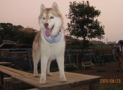 e0121548_2240348.jpg