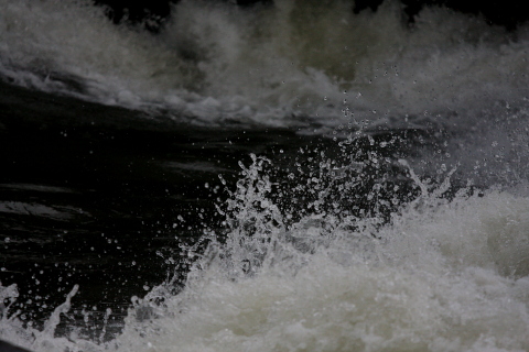 a0024250_101618.jpg