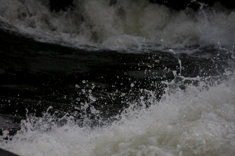 a0024250_102636.jpg