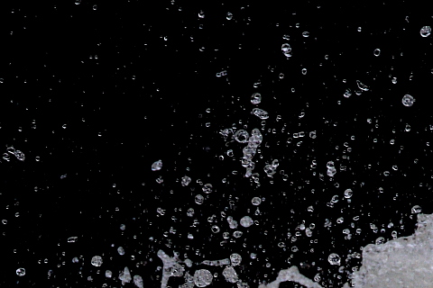 a0024250_103670.jpg
