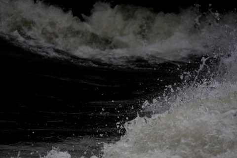 a0024250_10595.jpg
