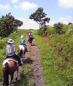e0168250_1865722.jpg