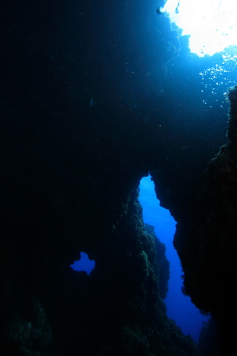 d0021952_2214354.jpg