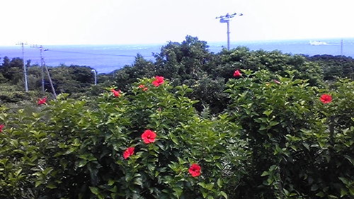 d0021952_22312835.jpg