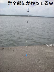 e0020555_15362495.jpg