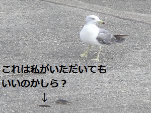 e0020555_15371541.jpg