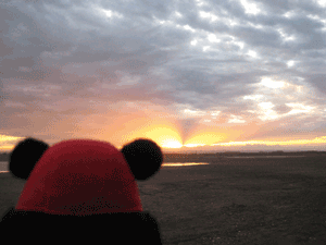 b0159557_2150338.gif