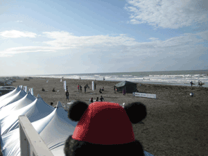b0159557_21545445.gif