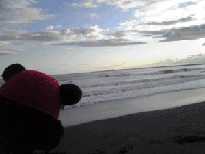 b0159557_22193231.gif