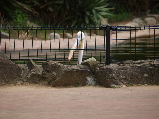 c0186760_8285244.jpg