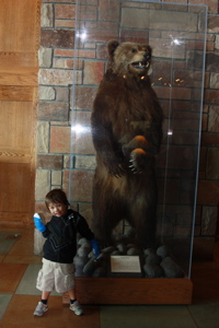 a0048361_11282997.jpg